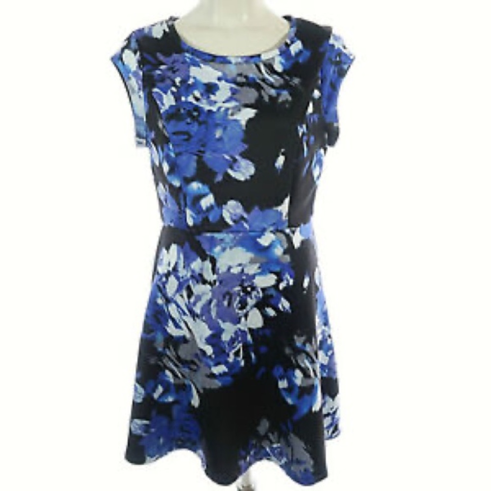 Cynthia Rowley Blue Floral Dress